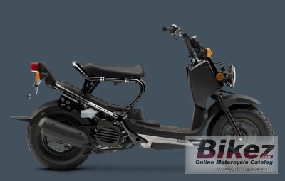 2010 Honda Ruckus photo